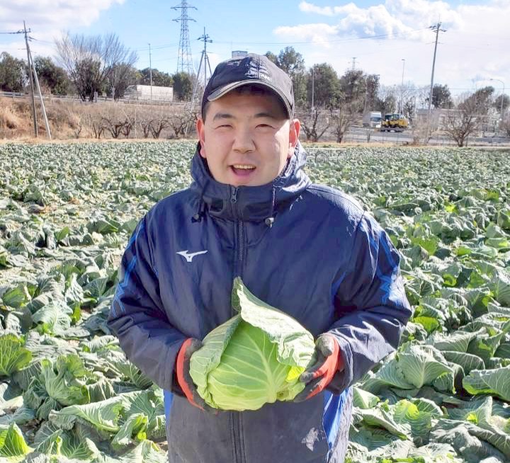 畑でキャベツを手にする菜の花の利用者